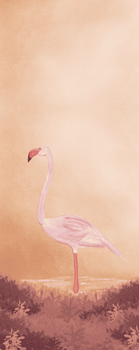 Rose Dust